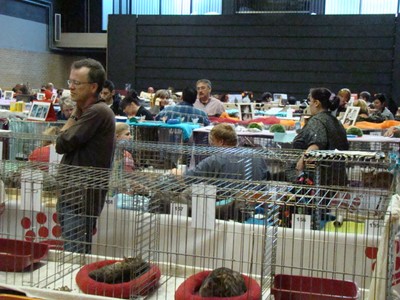20121021_36 (Expo)